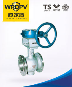 渦輪偏心半球閥