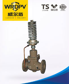 自力式壓差調節閥